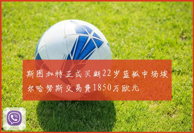 斯图加特正式买断22岁蓝狐中场埃尔哈努斯交易费1850万欧元